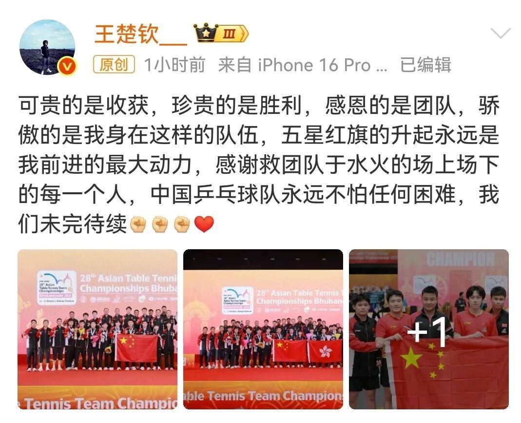 瑞典队翻盘韩国队,王皓带队取胜 瑞典队翻盘韩国队,王皓带队取胜