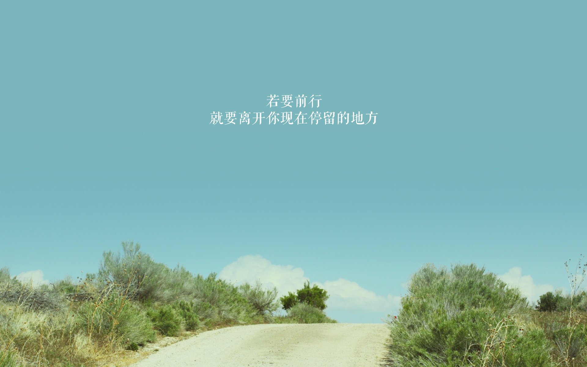 蓝黑镰刀与法老权杖，两种非洲力量如何定义欧洲足坛的生存法则