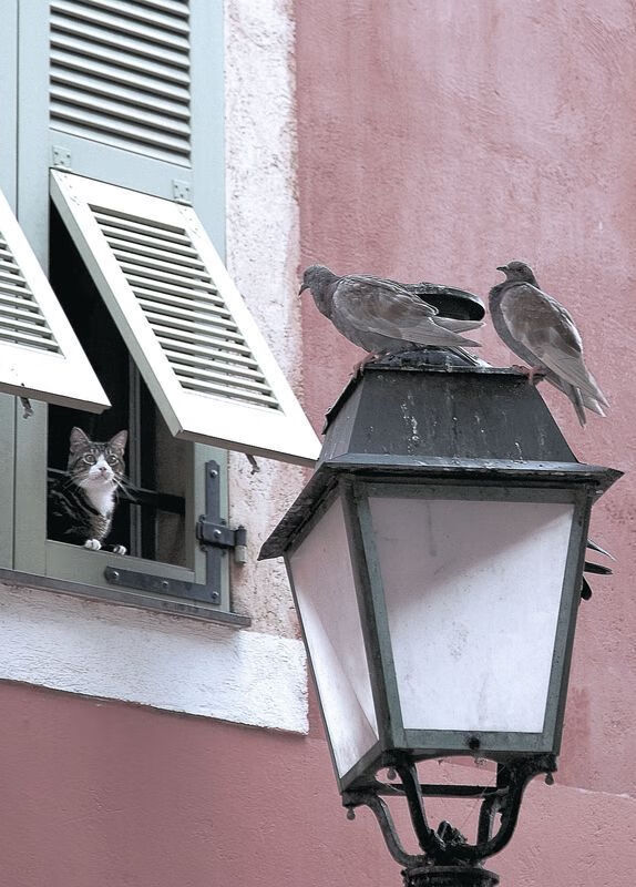 曼城智利对决预演世界杯风云,莱万2026接管赛场