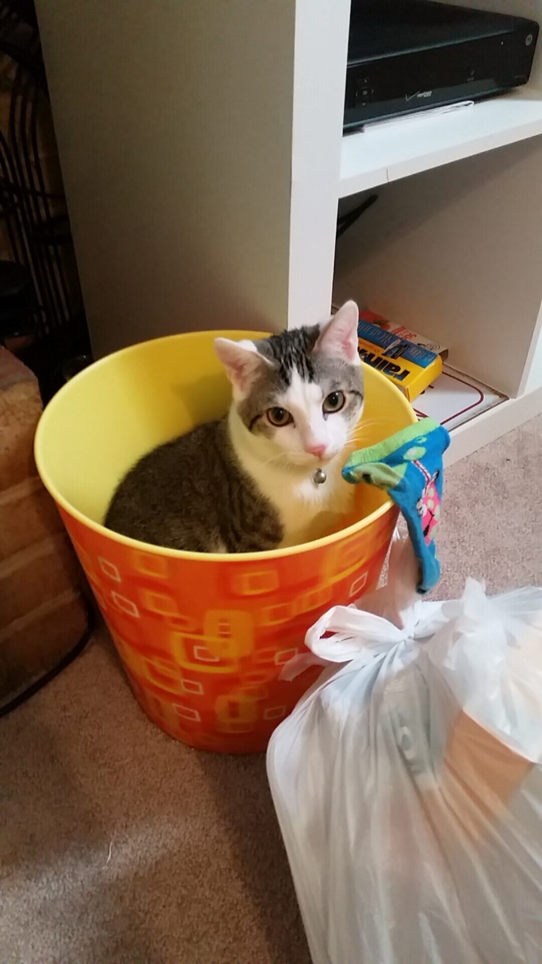 当新西兰蓝遇见曼城蓝,卡拉斯科的跨半球足球哲学