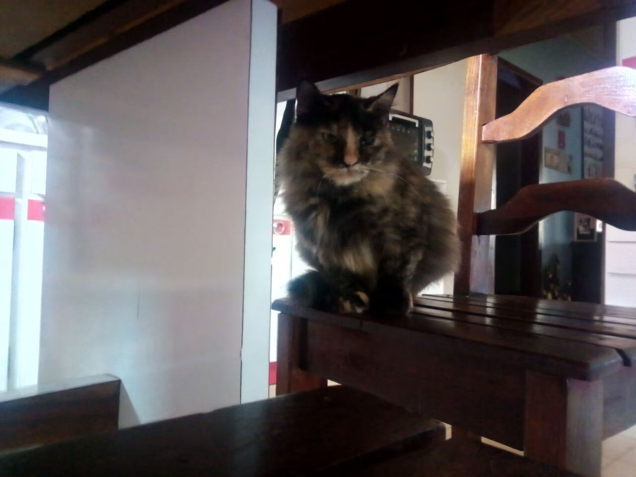 光锥的交错时刻,当开拓者封锁雷霆,布伦森在欧冠赛场扭转时间线