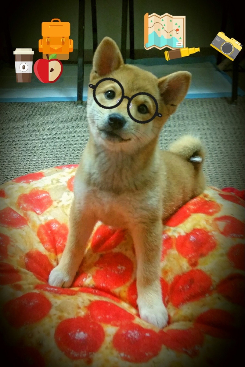 唯一的剧本，魔术师克莱与强行终结的马刺之夜