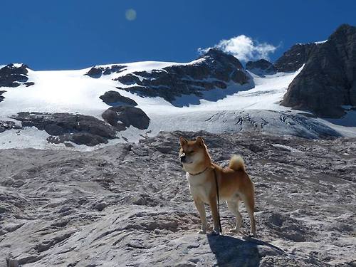 从哈登的影子到费城的光，马克西如何用一记记跳投扛起76人的未来