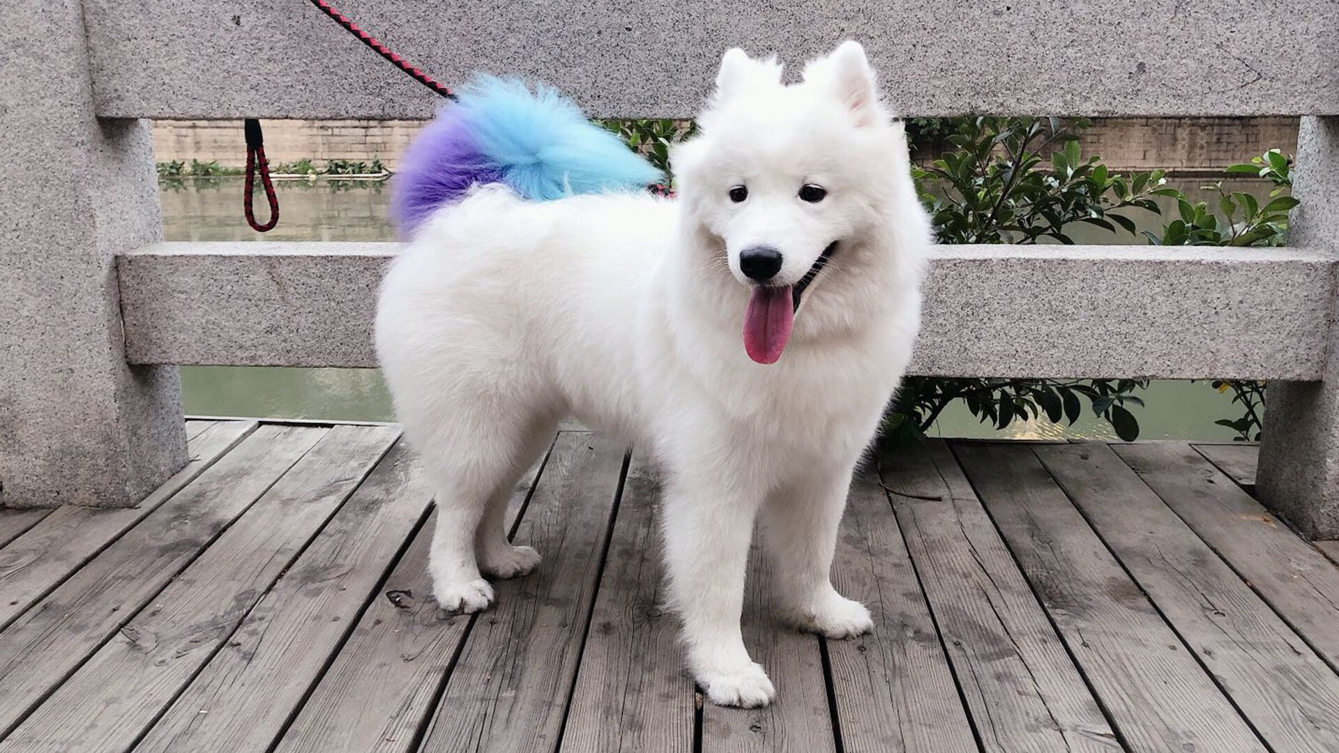 历史性胜利！草根山西完胜NBA火箭，哈利伯顿封神之夜无争议