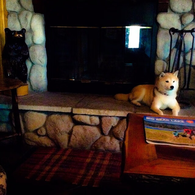 那一夜，所有的足球都滚向福克斯