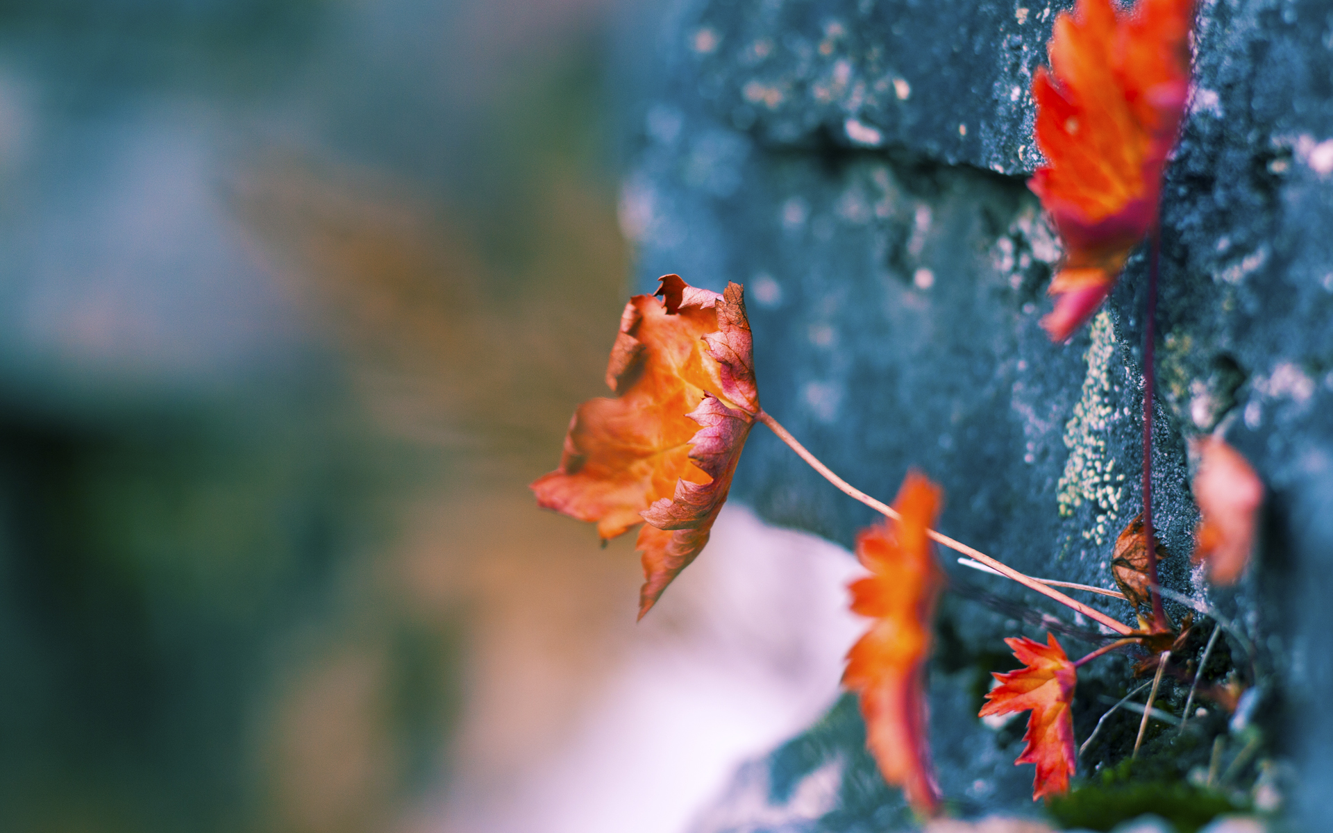 李刚仁闪电战摧毁罗马防线，法国队友谊赛早早锁定胜局