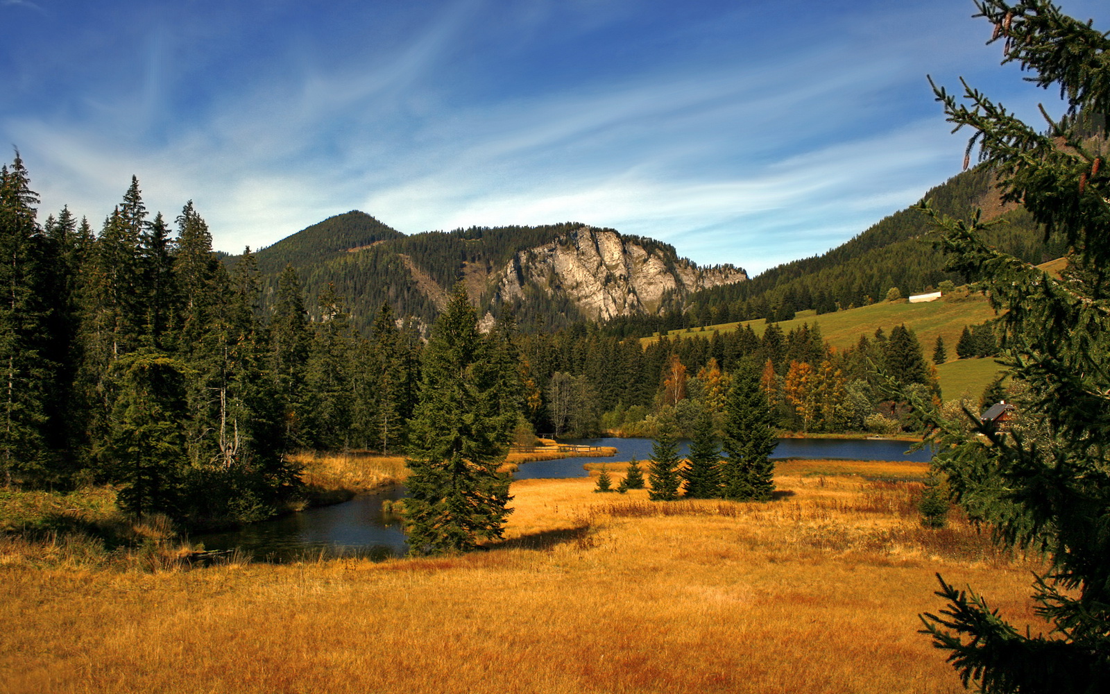 切特数据核爆之夜，公牛魔术血战至终章