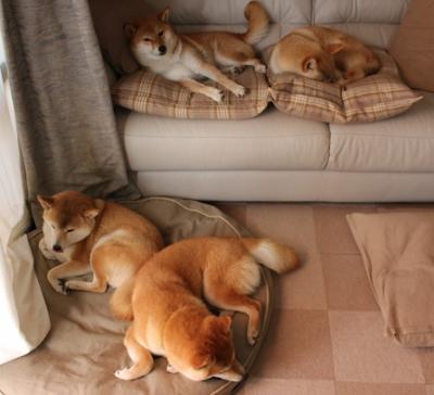 双城记，弗拉霍维奇火力全开，亚特兰大在南非温暖绽放