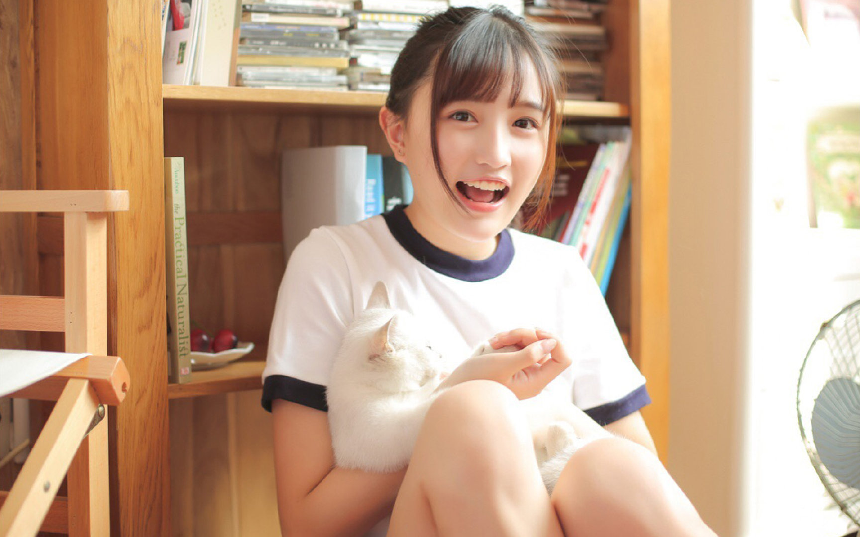 一场没有悬念的屠杀,和一个不属于英格兰的盛夏,2026揭幕战,佩德里用艺术肢解了足球