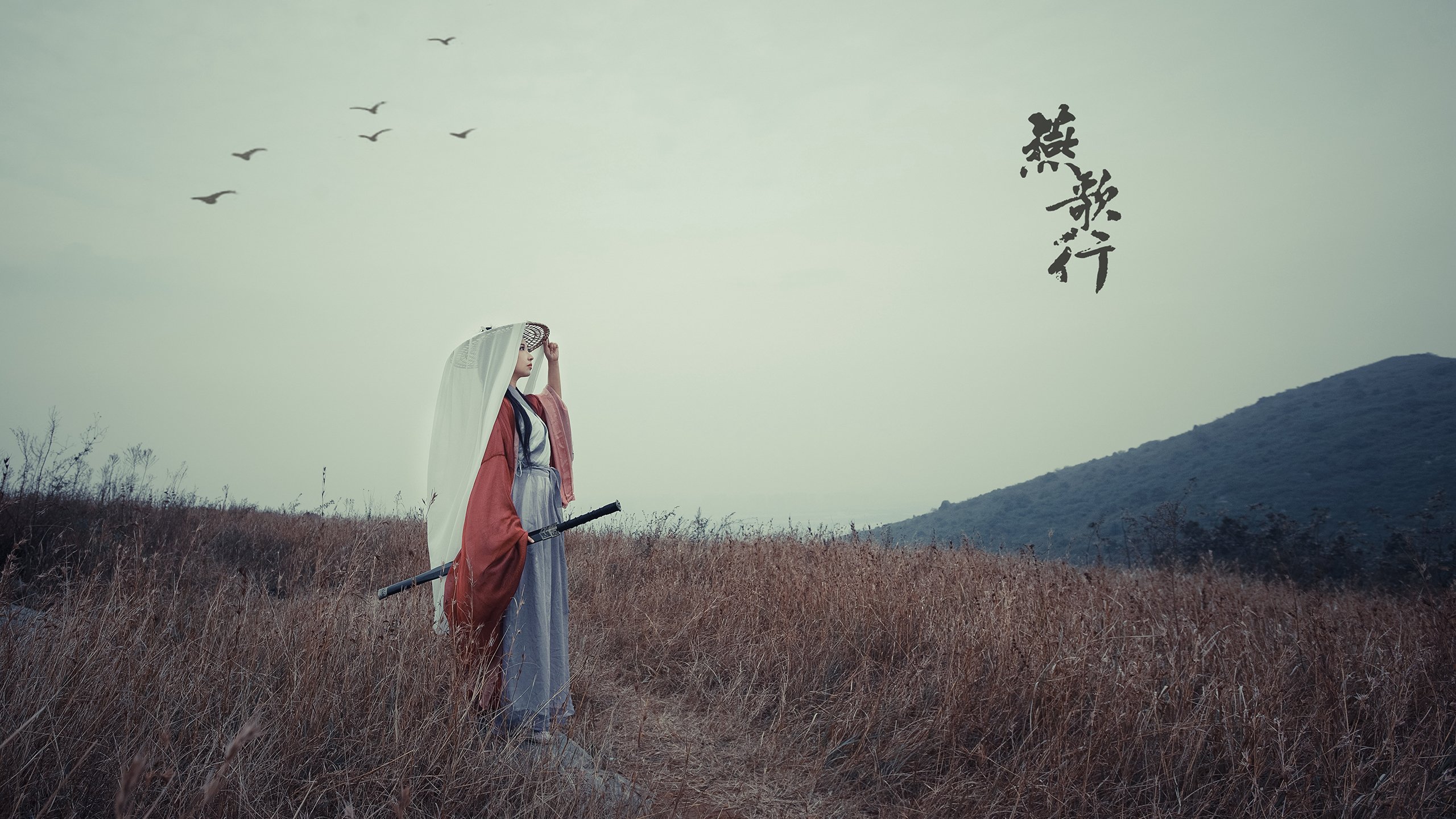 当纪律吞噬天赋,2026世界杯D组,日本闪电战如何击碎桑巴孤胆英雄的童话