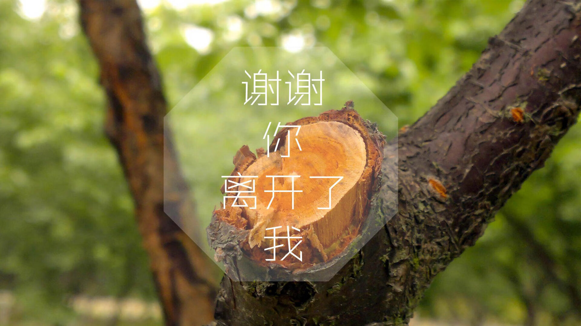 以下是我为你构思的文章标题和内容