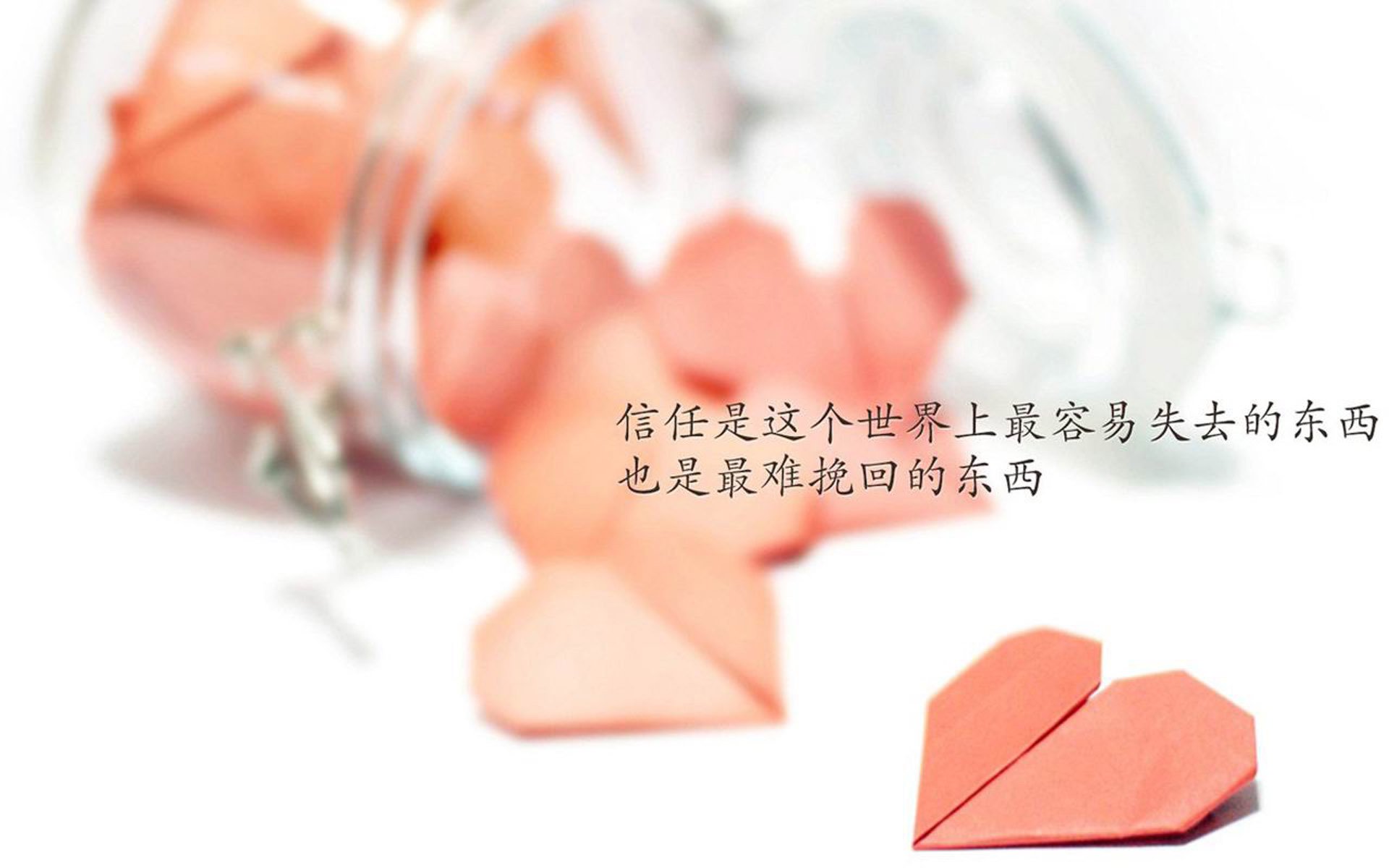 骆驼刺与仙人掌，一场改变游戏规则的冷门，与那个在风沙中起舞的非洲猎豹